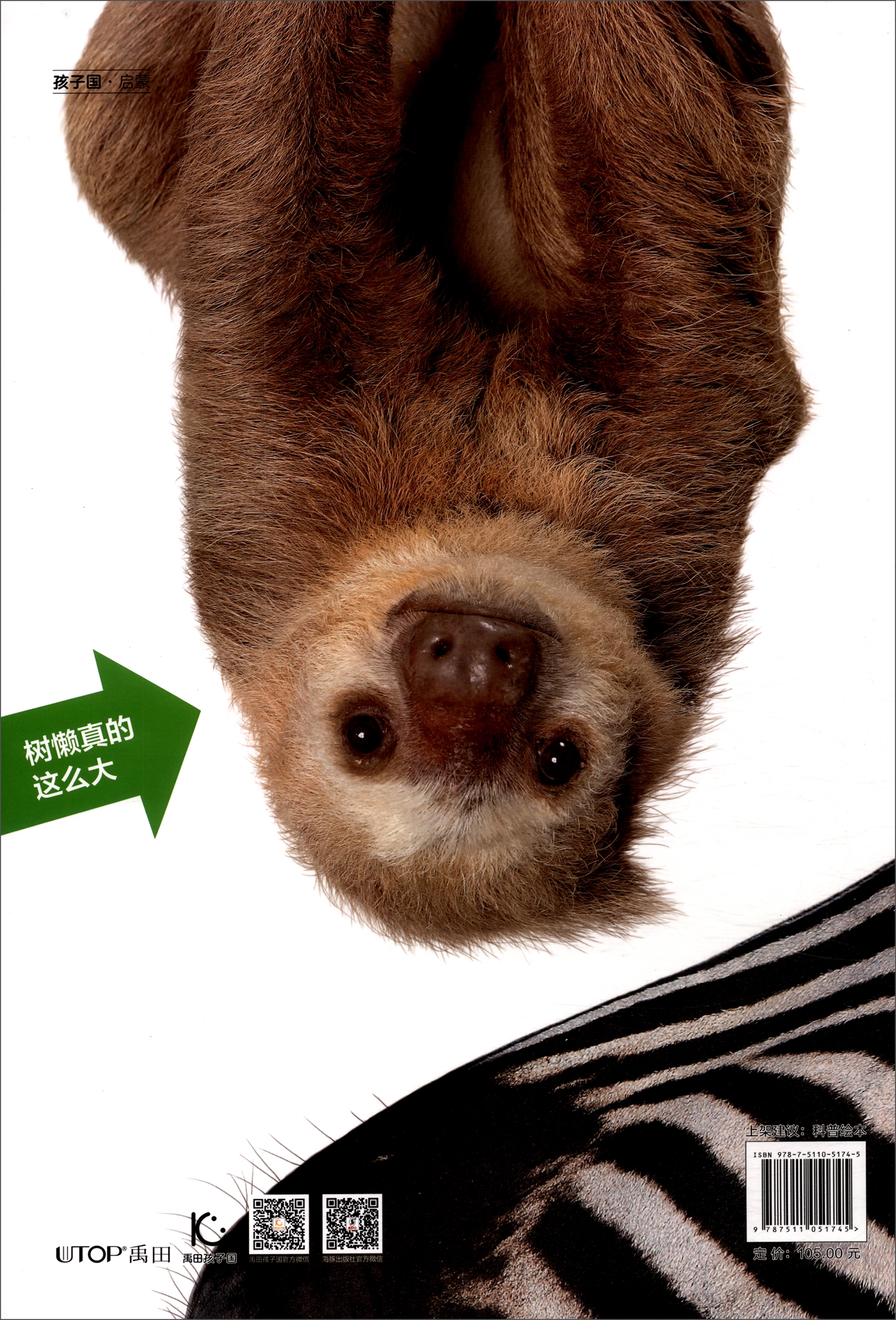 震撼之书（动物原来这么大珍奇馆）