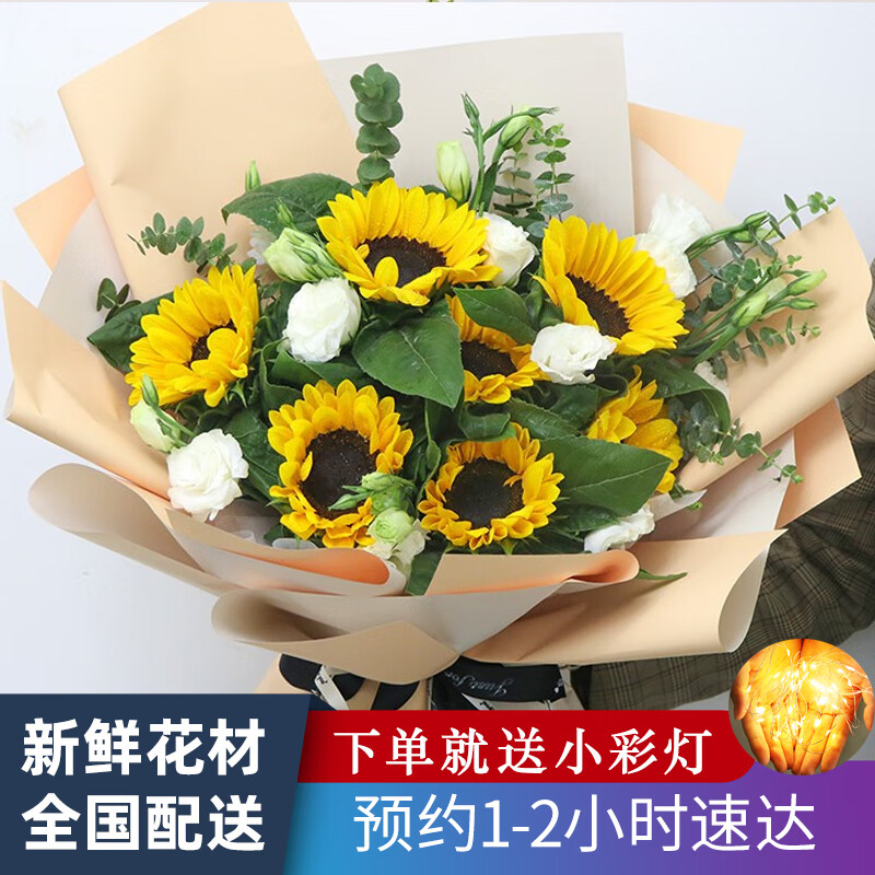 初卉 向日葵鲜花花束真花鲜花速递毕业季鲜花花束生日