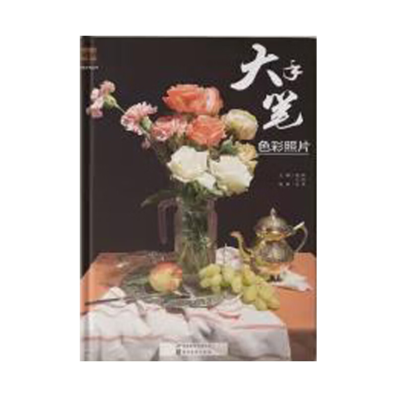 正版图书 大手笔色彩照片 孔涛 河北美术出版社