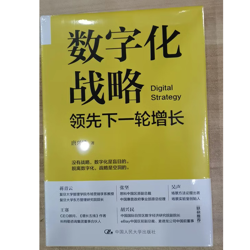 数字化战略：领先下一轮增长 唐兴通 著