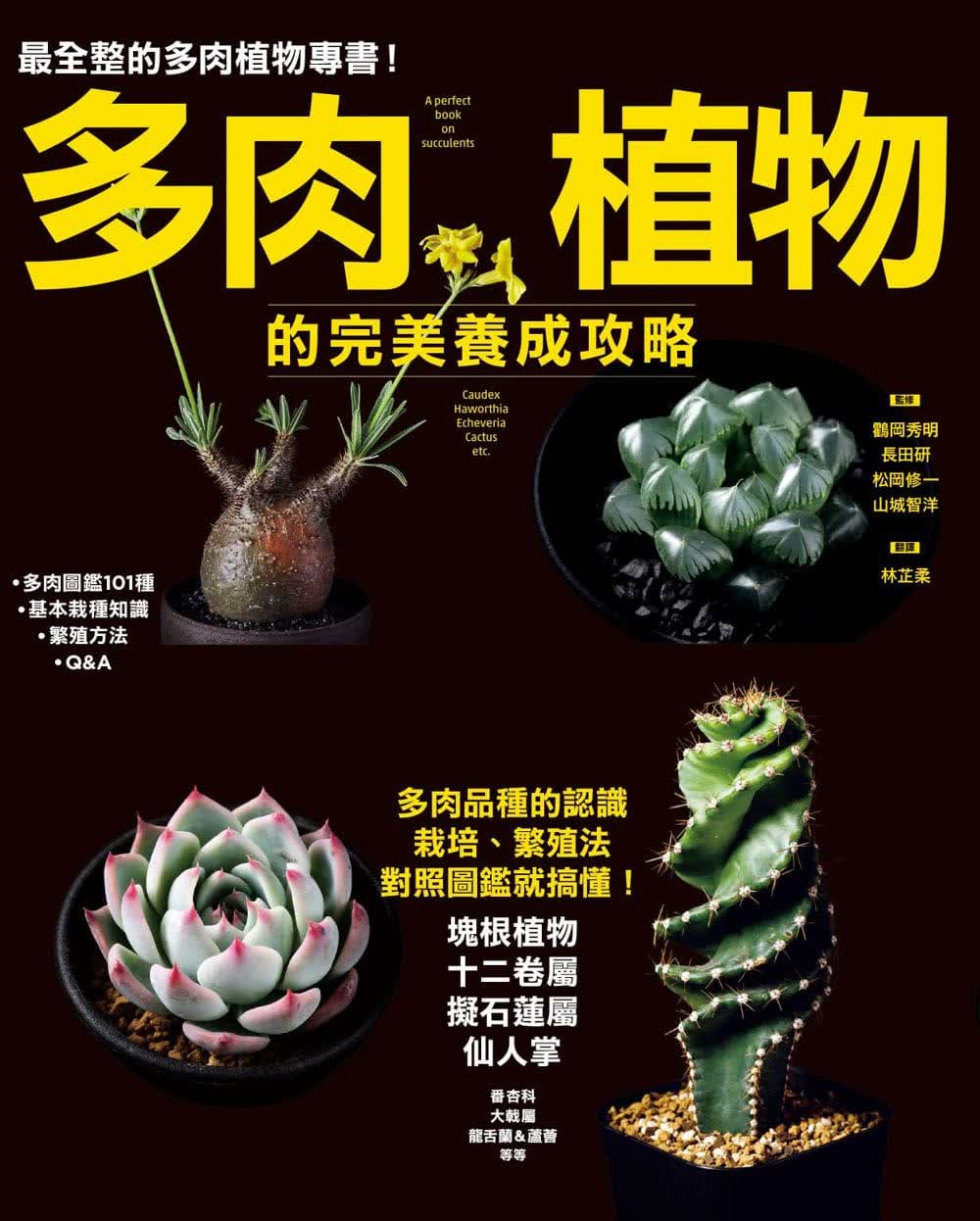 在途 原版进口书 鸖冈秀明多肉植物的养成攻略枫叶社文化