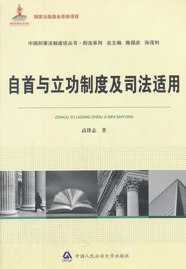 自制度及司法适用 高锋志 法律 9787565308581