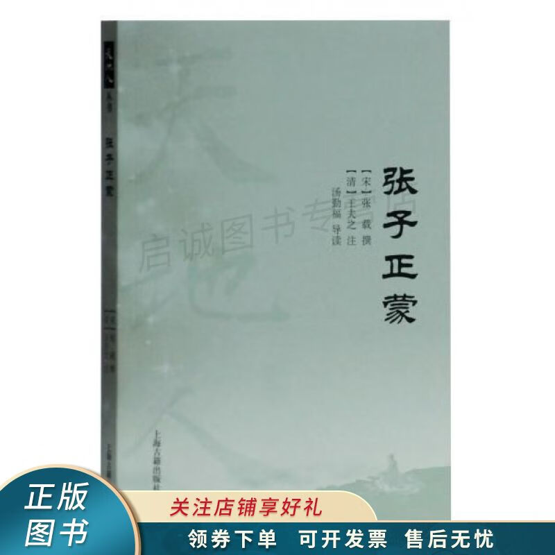 张子正蒙天地人丛书 王夫之