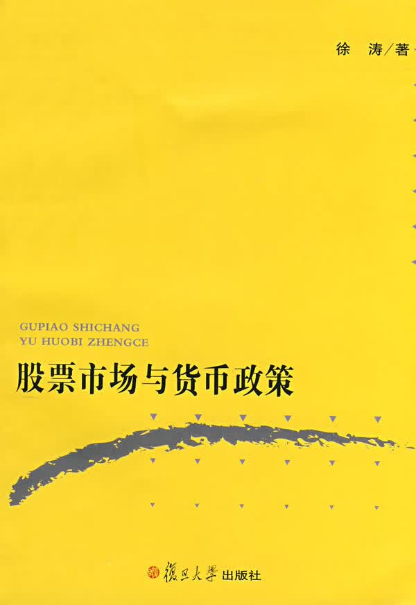 股票市场与货币政策 徐涛 著【正版书】