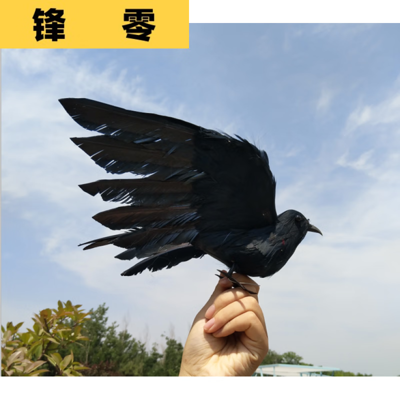 锋零  仿乌鸦摆件假鸟装饰品摄影道具乌鸦教学模型仿真小鸟 黑色_22