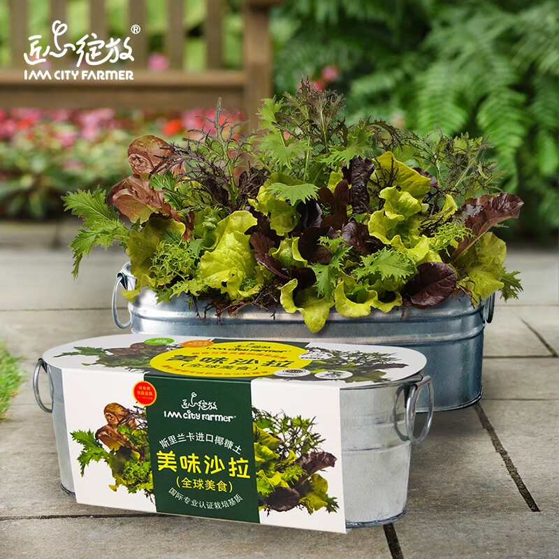 哪里可以查询绿植盆栽历史价格|绿植盆栽价格比较