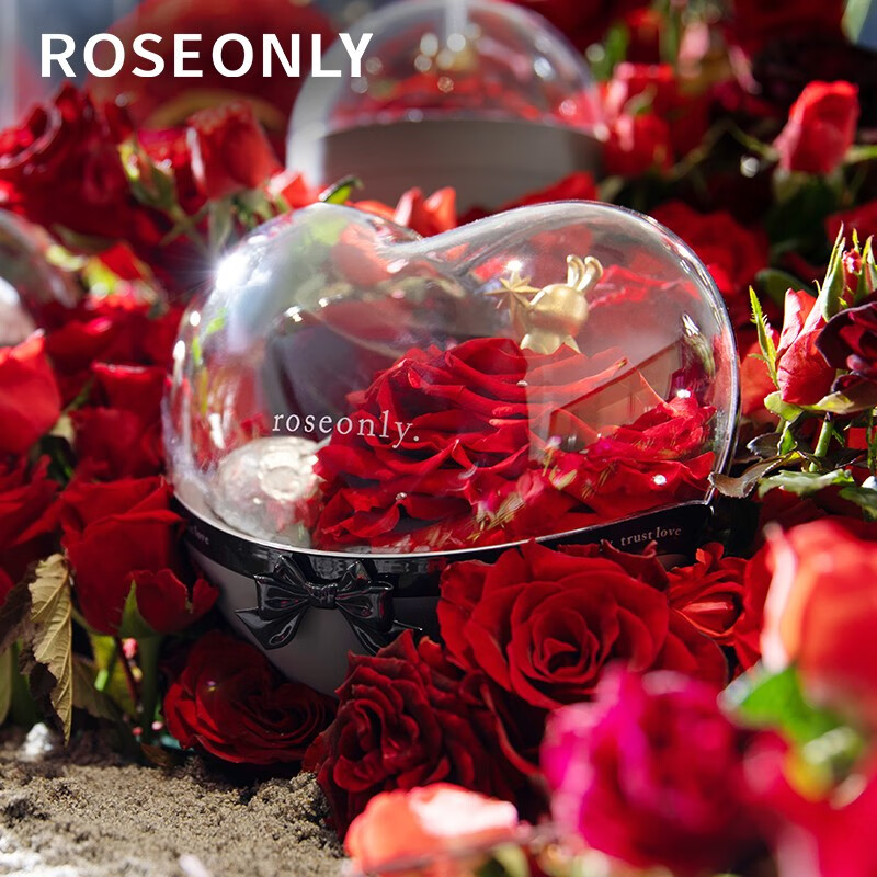 ROSEONLY 玫瑰星球永生花玫瑰花礼盒有哪些特点值得考虑？插图