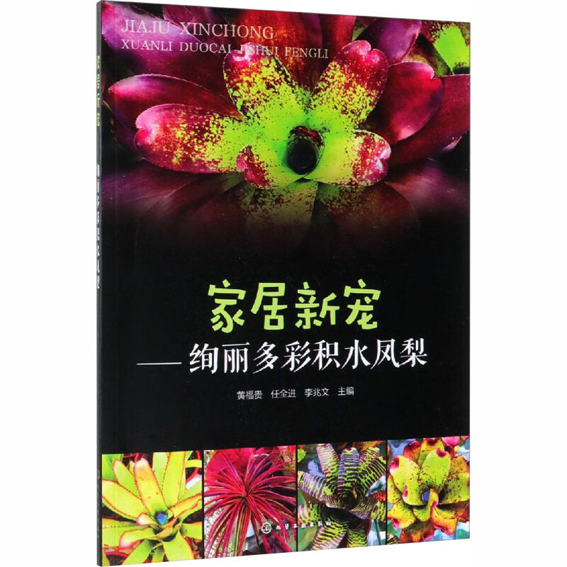 家居新宠——绚丽多彩积水凤梨