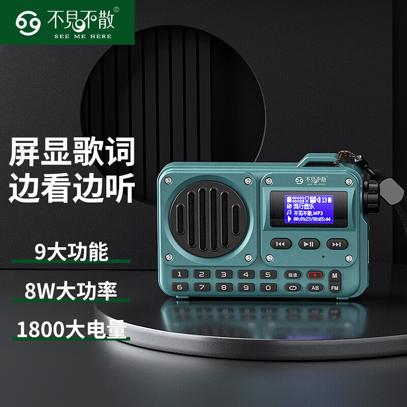 不见不散BV800收音机无线便携蓝牙音箱迷你小音响充电式u盘插卡mp3音乐播放器低音炮复古收音机 青雀蓝