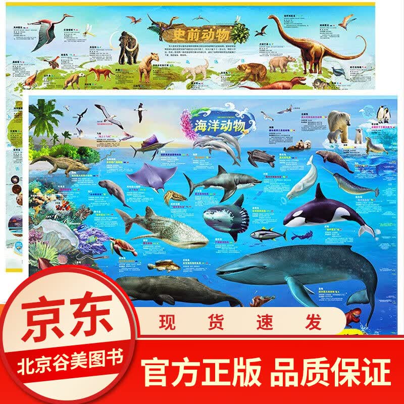 全套10册中国地图和世界地图挂图2021儿童版学生专用中国地形图 挂图中华民族地图+太阳系地图+北极 海洋动物+史前动物地图【2张】 默认