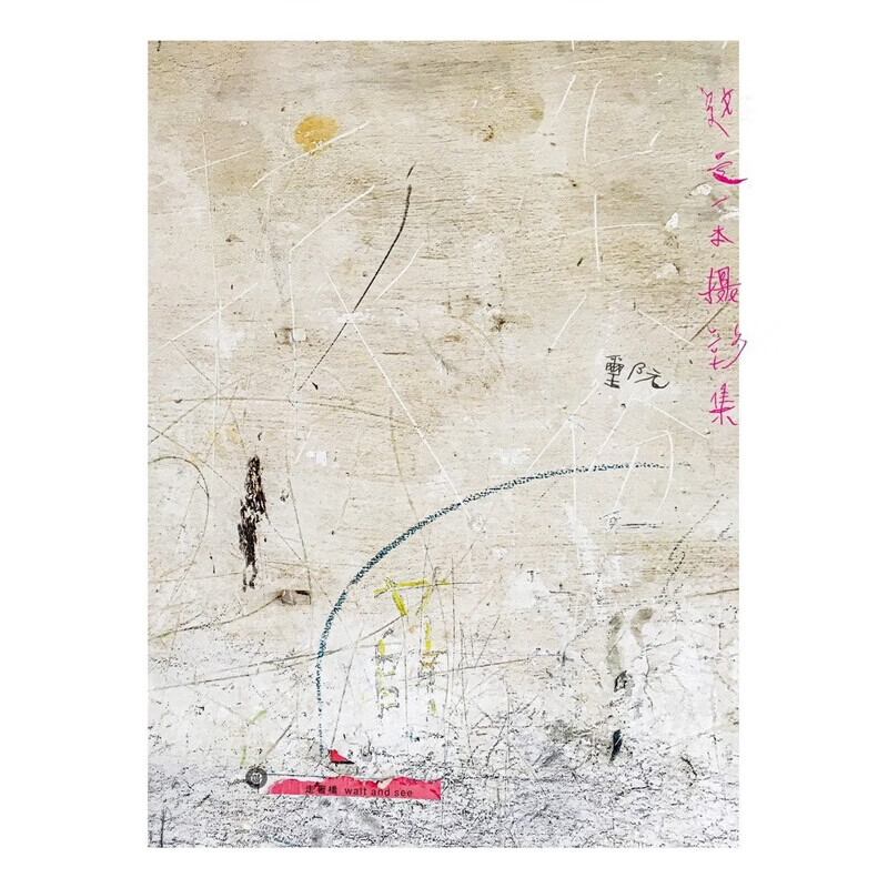 预订台版 走著桥 这是一本摄影集 阮玺【下架】