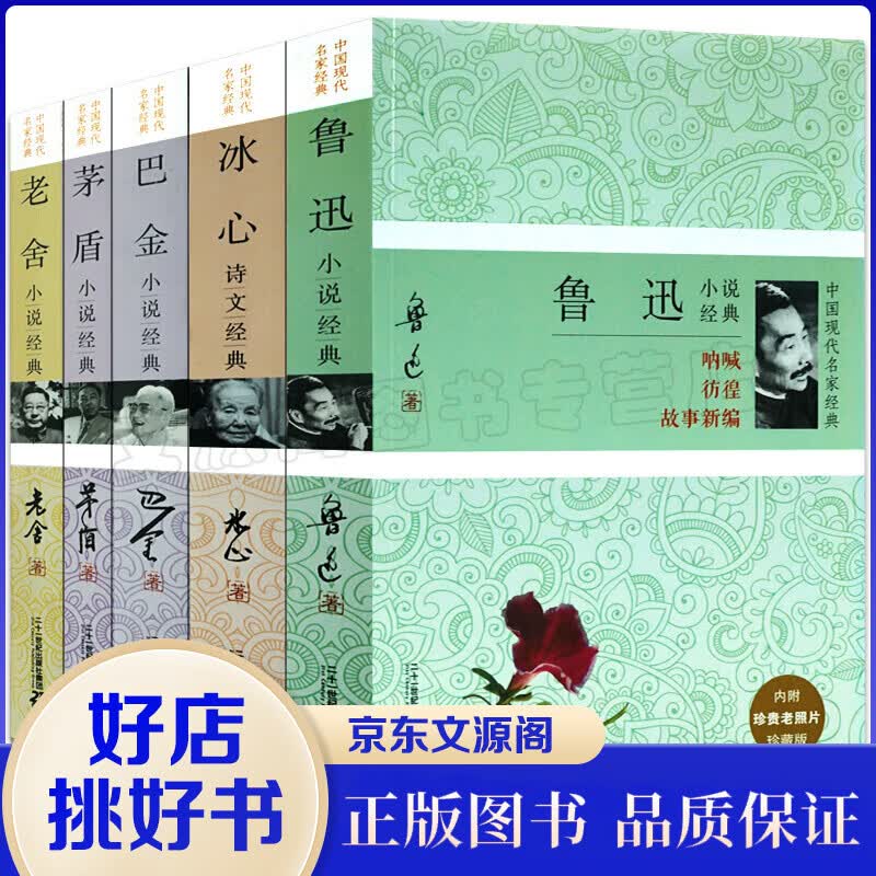 鲁迅小说全集茅盾小说巴金小说老舍冰心全5册 中国现代名家经典小说 可搭猎人笔记 呐喊散文书