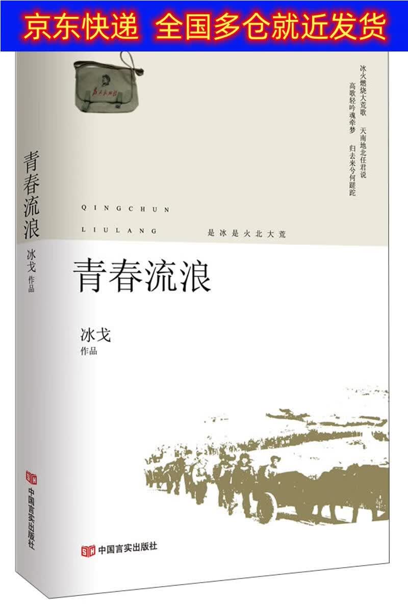 正版书 青春流浪 青春文学类图书