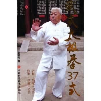武式太极拳37式 翟维传【正版书】