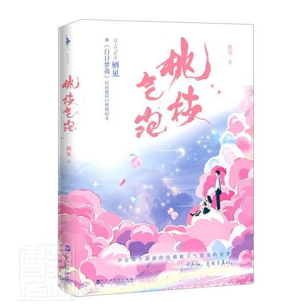 桃枝气泡青春文学长篇小说中国当代图书