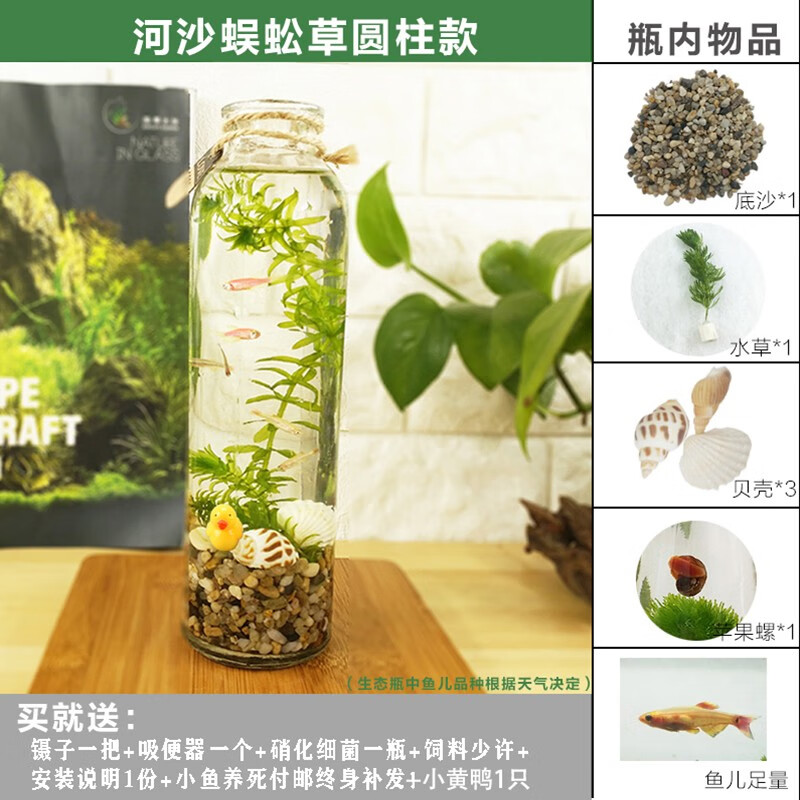 大伙测评使用韩锦桌面鱼缸哪个配置好哪个更好，长期用可以吗