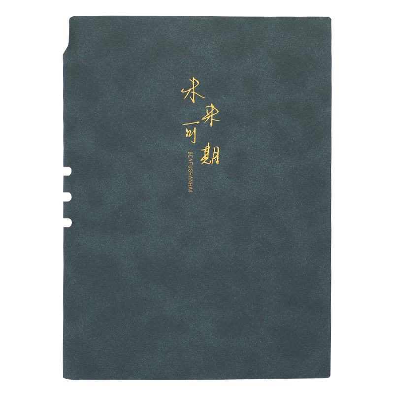 嘉然恒 笔记本本子笔插加厚A5羊巴皮面记事本商务会议记录本软面抄大学生手账本文艺励志日记本-墨绿色
