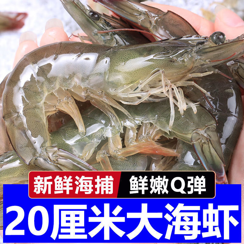 青岛大虾鲜活新鲜盐冻大虾特大号一箱对虾基围虾白虾海捕大虾 10-11