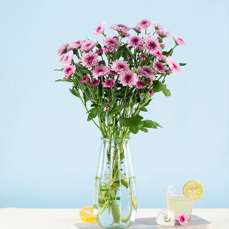 京东鲜花云南楚雄小雏菊10枝单色随机定制