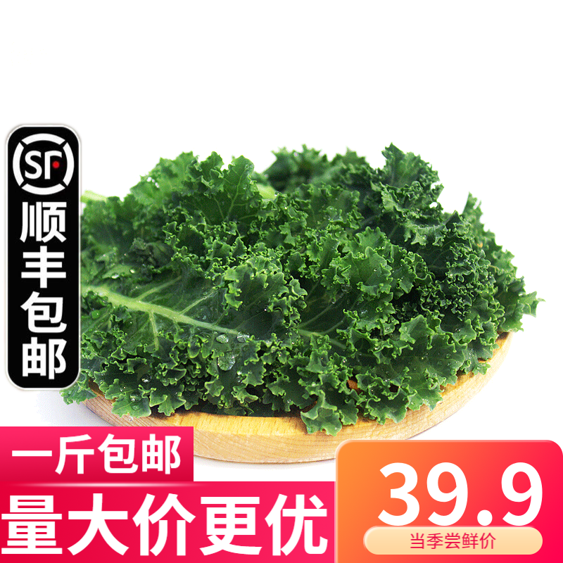 柏馋羽衣甘蓝3斤【顺丰】 新鲜嫩叶 西餐杜丹绿叶花包菜kale 3斤