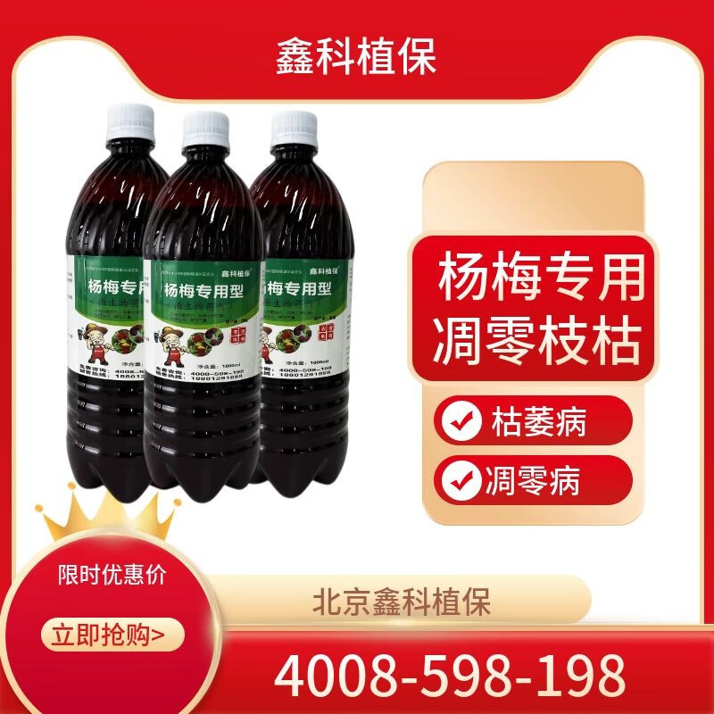 病杨梅枝叶凋零枯萎杨梅枝叶枯病杨梅枯萎病杨梅杨梅褐斑病杨梅根腐病