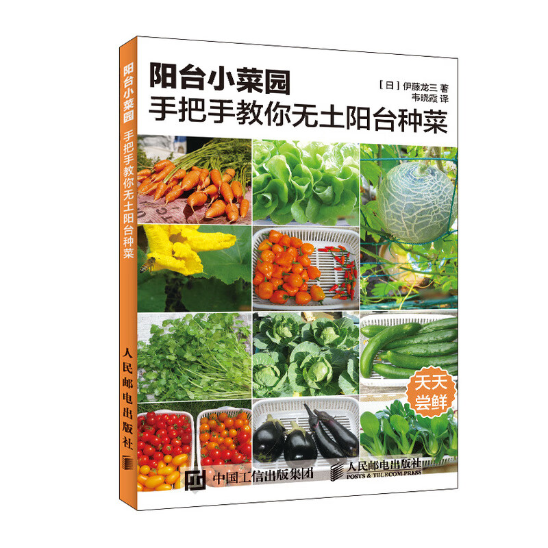 阳台小菜园 手把手教你无土阳台种菜 人民邮电出版社 9787115545947 ［日］伊藤龙三