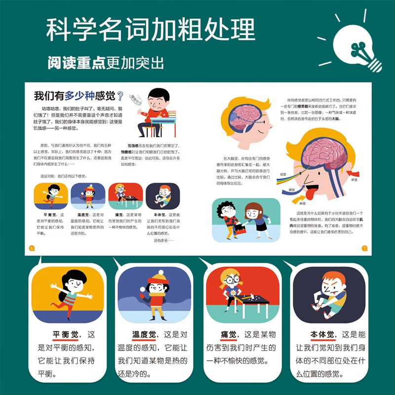 我的小问题 科学（8册）气候光电水大脑 4-6-8岁儿童绘本幼儿科普百科课外阅读启蒙亲子博物 亲亲科学图书馆