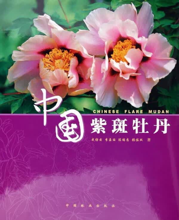 中国紫斑牡丹 成仿云等 农业/林业 9787503839689