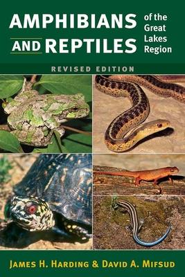 预订 amphibians and reptiles of the great lakes regi