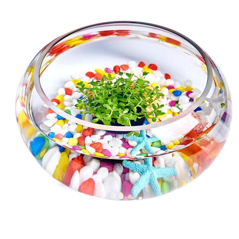 寶貝故事（BABY STORY）圓形小魚缸 創(chuàng)意桌面魚缸生態(tài)圓形玻璃金魚缸烏龜缸 30號缸套餐三