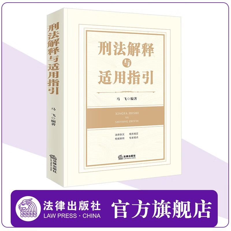 刑法解释与适用指引  马飞编著 法律出版社