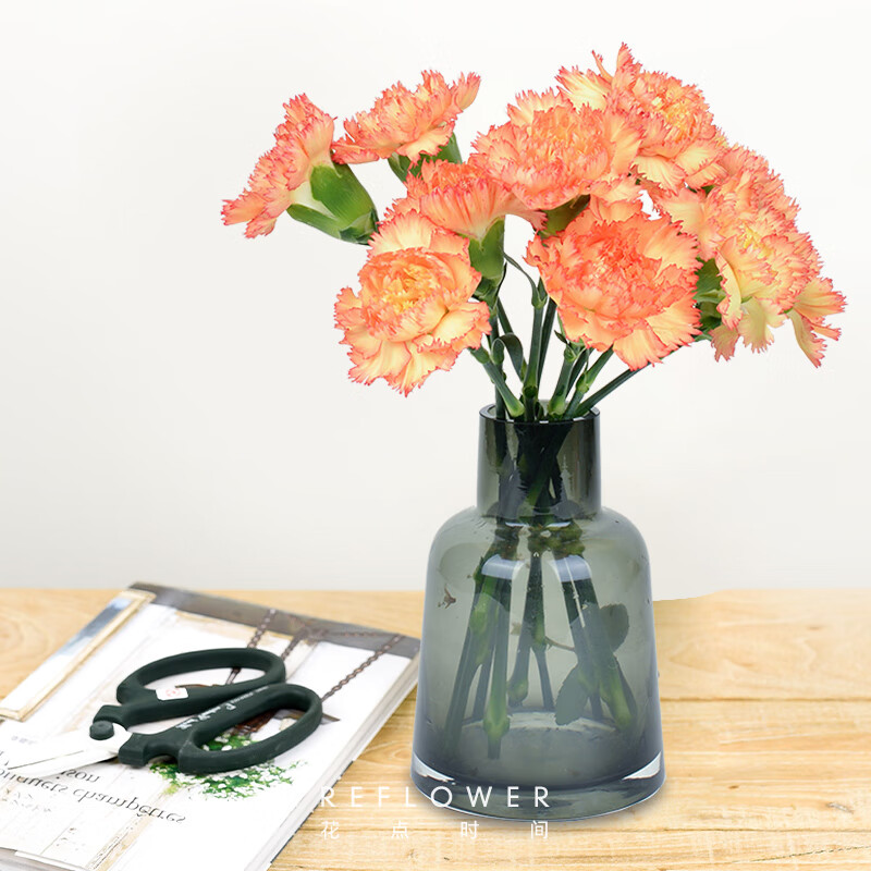 京东鲜花单头康乃馨鲜花云南昆明基地直发鲜切花送妈妈礼物颜色随机10