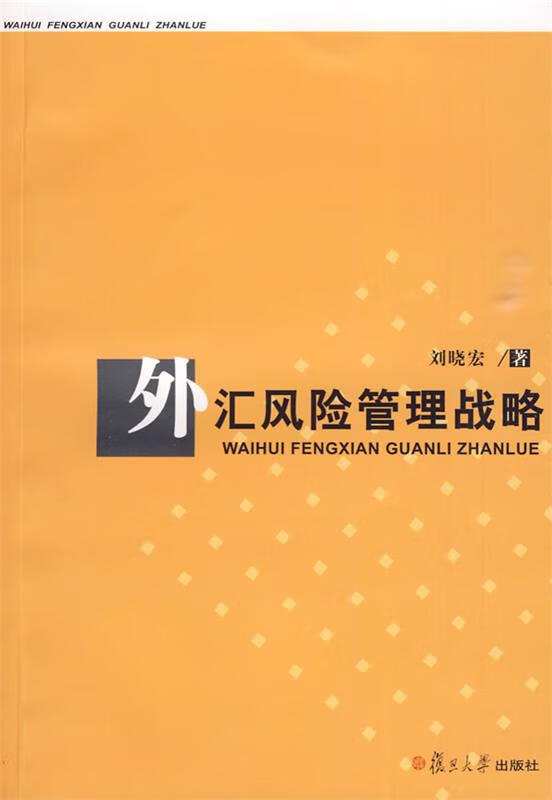 外汇风险管理战略【正版好书，下单速发】