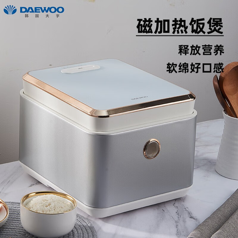 大宇（DAEWOO）电饭煲电饭锅 4L 家用IH电磁加圆灶精铁内胆 白色FB01 白色
