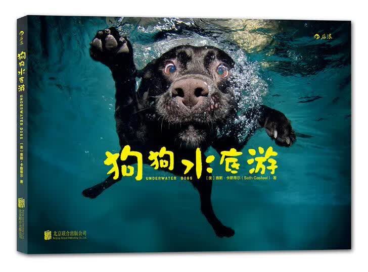 狗狗水底游 赛斯·卡斯蒂尔 摄影 9787550278066