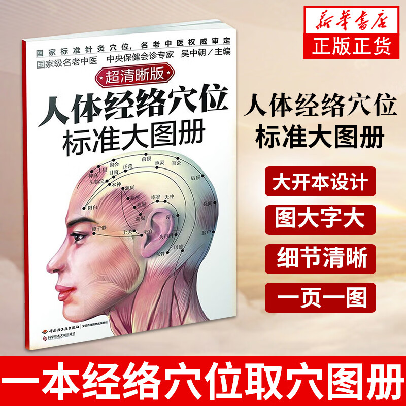 人体经络穴位标准大图册(超清晰版)人体经络穴位图解书 医药卫生中医穴位图解
