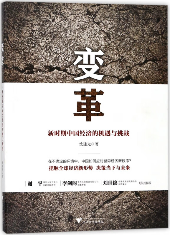 变革(新时期中国经济的机遇与挑战)