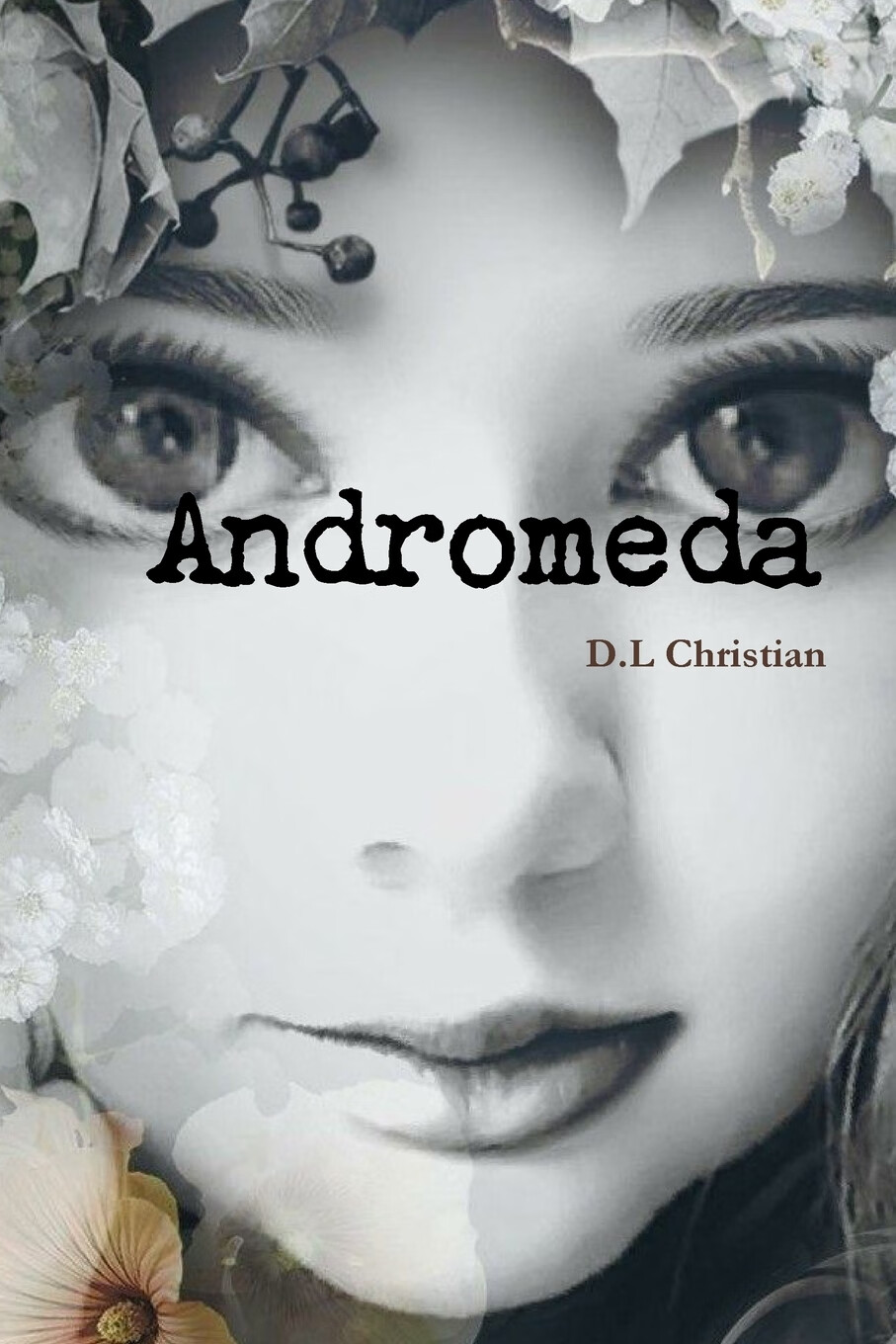 预售 按需印刷 andromeda