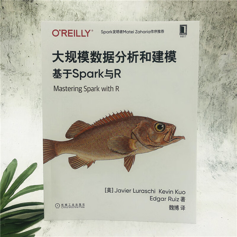 大规模数据分析和建模：基于Spark与R详情图