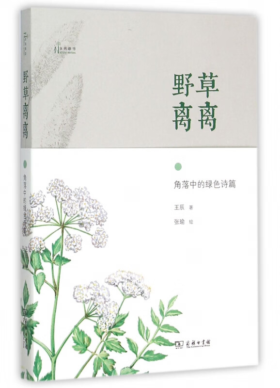 野草离离(角落中的绿色诗篇)/自然感悟
