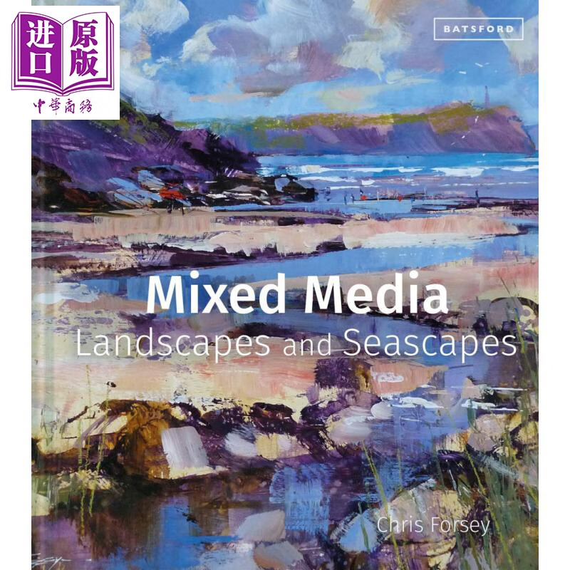 混合媒体景观和海景 英文原版mixed media landscapes and seascapes
