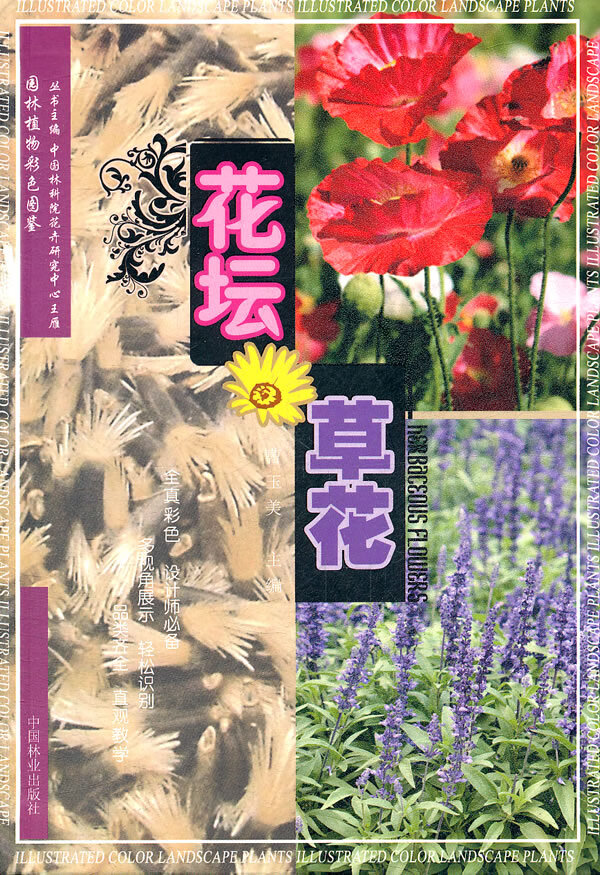 花坛花