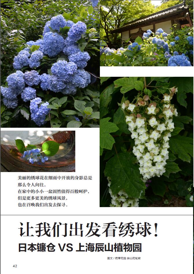 花园MOOK 绣球号 FG武蔵