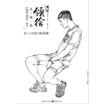 领绘—大动态 王靖宇 著【正版书】