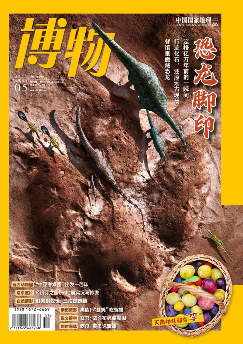 博物 2023年5月号 本期主题【恐龙脚印】 中国国家地理青春少年版