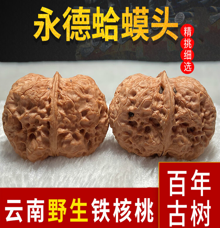 铁核桃 永德蛤蟆头云南野生铁核桃文玩核桃把玩手玩盘古玩小金蟾 核