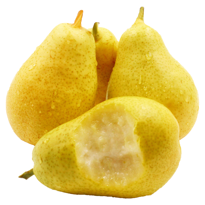 萃俪 太婆梨子新鲜水果软梨大头梨香蕉梨 5斤装