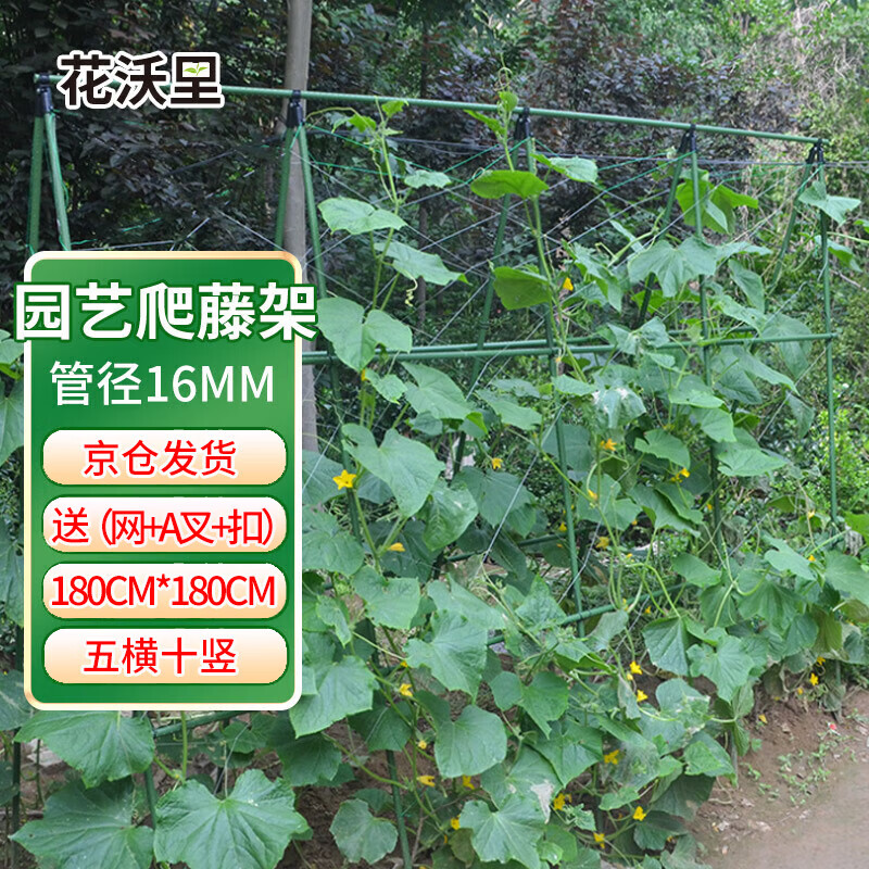 花沃里爬藤架（带爬藤网）Φ16支架180*180豆角架杆丝瓜黄瓜葡萄蔬菜架高性价比高么？
