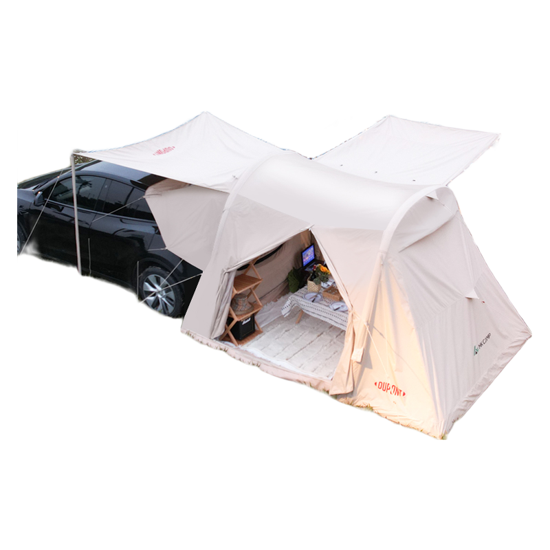 �Ű�220����ʷ��������ε����˹����봳�����β������¶Ӫ�������� һ��һ������޲���Model 3�� 3999Ԫ