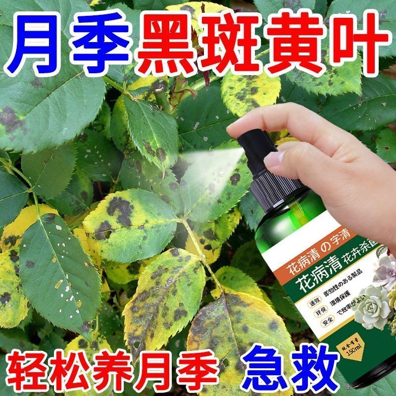 植物营养液通用型花肥料发财树绿萝水培富贵竹叶面喷施盆栽免稀释 养花专用花病清 三瓶装【450ml】